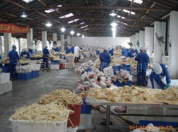 茌平縣冬盛食品廠(chǎng)食用菌產(chǎn)品目錄及批發(fā)業(yè)務(wù)介紹